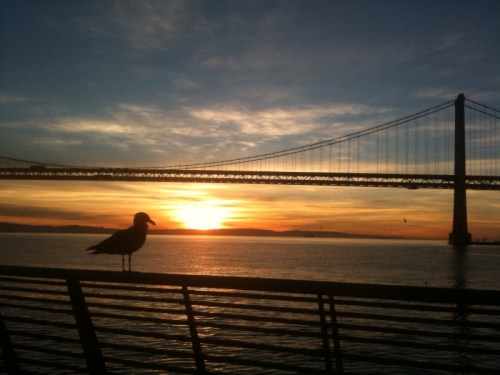 San Francisco sunrise run : JAMcArthur.com